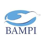 Bampi